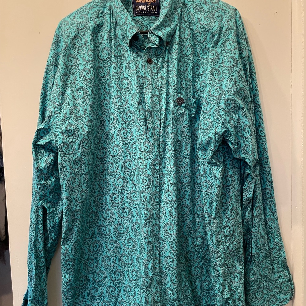 Teal and black paisley print